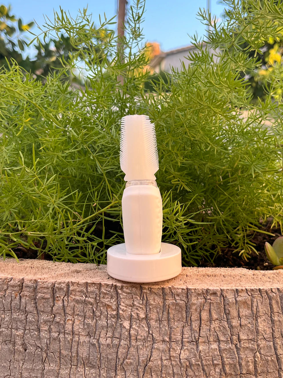 CEPILLO DE DIENTES 360°